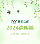 风起清明 遥寄相思|ag8亚洲游集团?2024清明篇